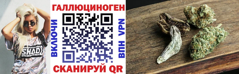 мориарти Telegram  Качканар  Псилоцибиновые грибы Cubensis  купить наркоту 