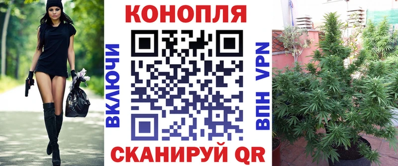 Шишки марихуана конопля  Качканар 